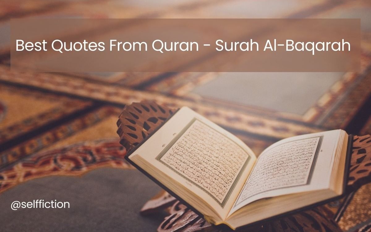 120+ Best Quotes From Quran – Surah Al-Baqarah 2024