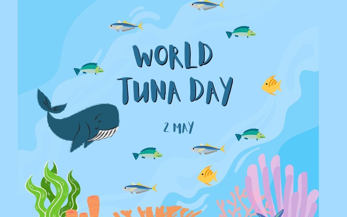 120+ Great World Tuna Day Quotes 2024